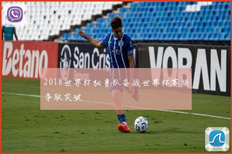 2018世界杯秘鲁队备战世界杯赛场争取突破